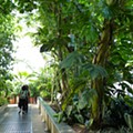 Londres-Kew Gardens (2104).JPG